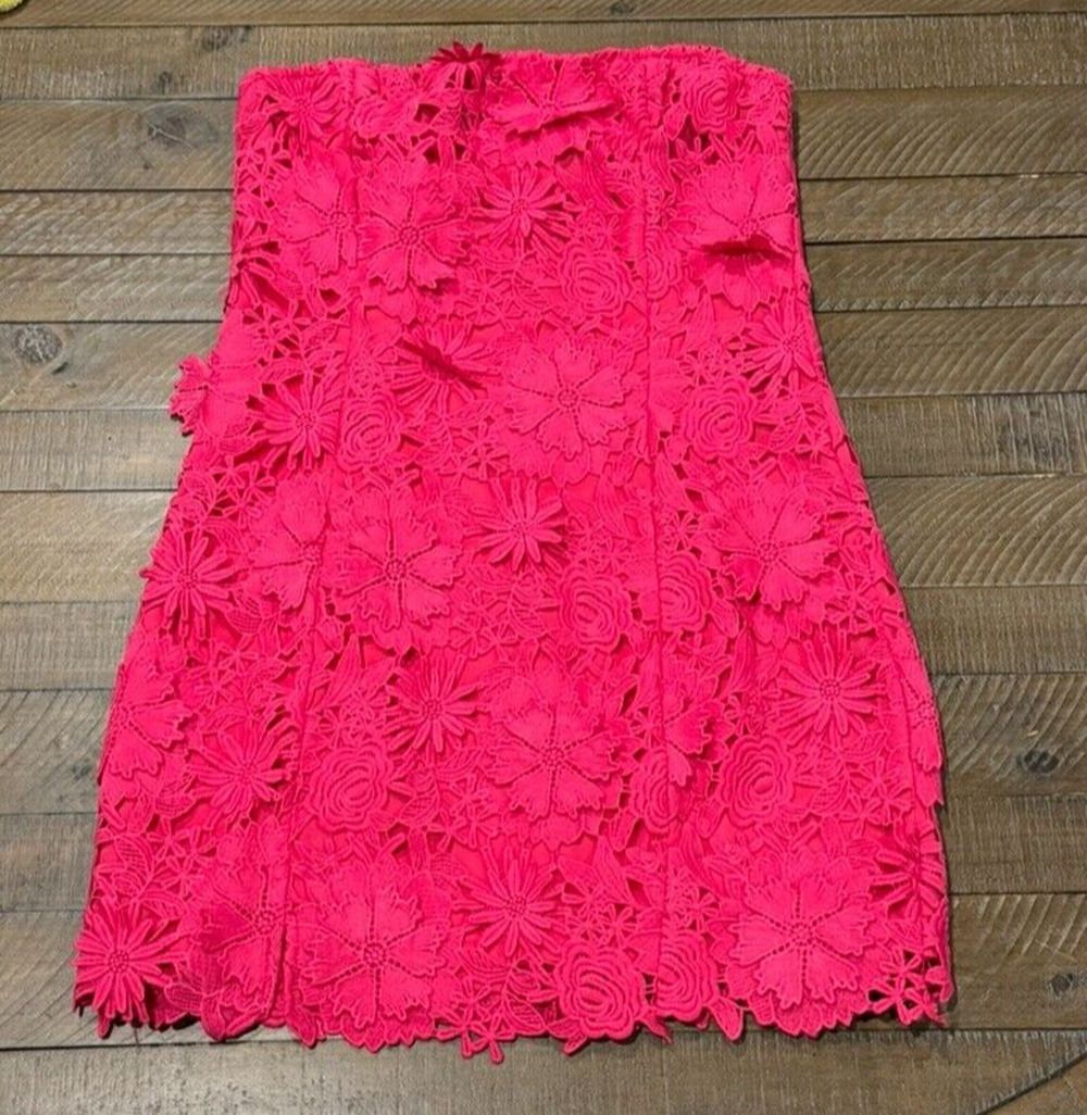 VICI Madelyn Embroidered Floral Strapless MINI Dress -Worn Once- Women's Size L